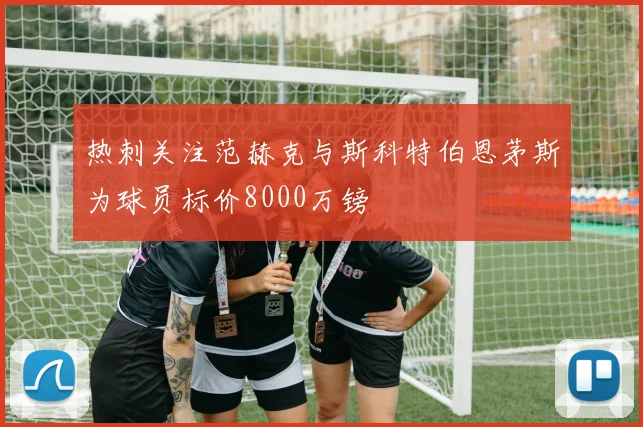 热刺关注范赫克与斯科特伯恩茅斯为球员标价8000万镑