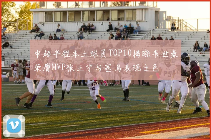 中超半程本土球员TOP10揭晓韦世豪荣膺MVP张玉宁与塞鸟表现出色